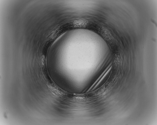 X0000097890649200803281247