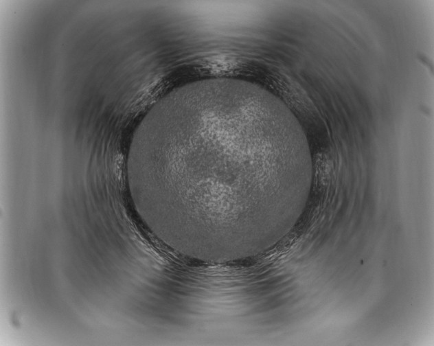 X0000097890650200803281247