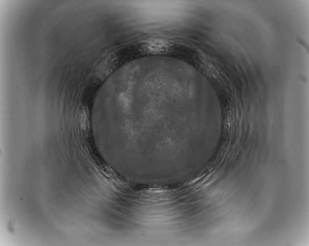 X0000097890651200803281247