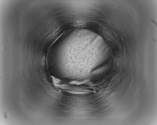 X0000097890652200803281247