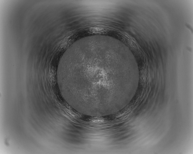 X0000097890653200803281247