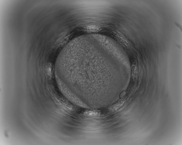 X0000097890655200803281247