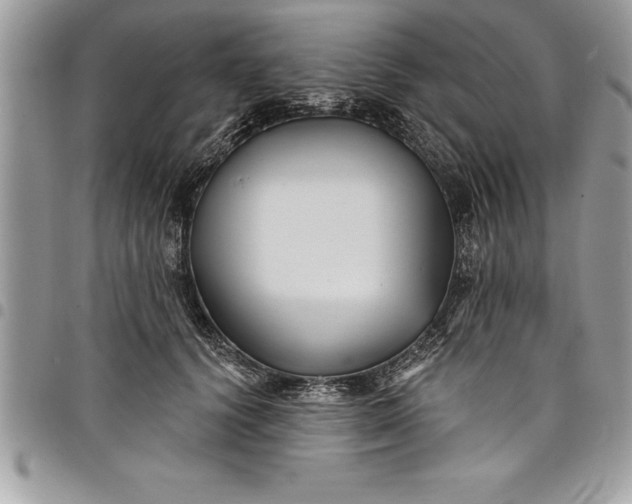 X0000097890656200803281247