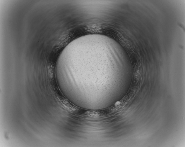 X0000097890658200803281247