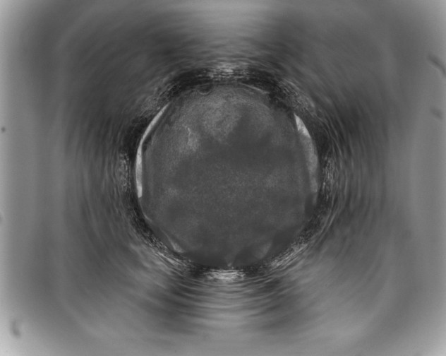 X0000097890659200803281247