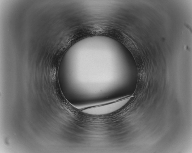 X0000097890660200803281247