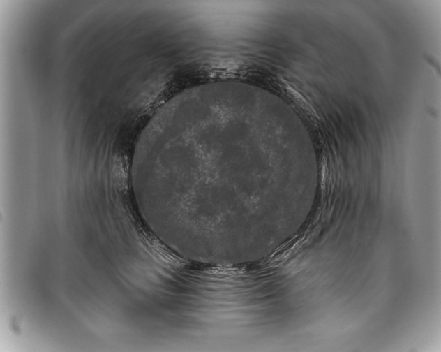 X0000097890661200803281247