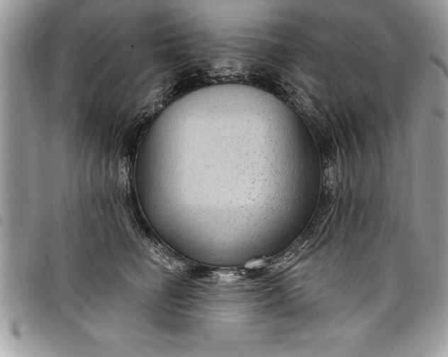 X0000097890662200803281247