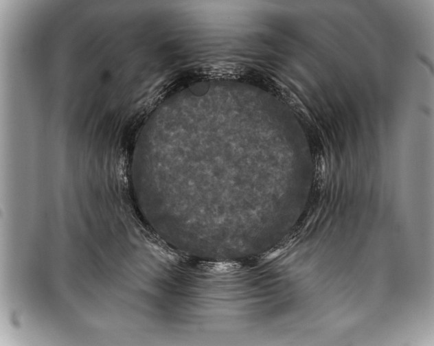 X0000097890663200803281247