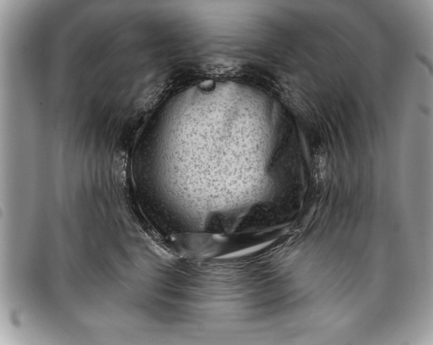 X0000097890664200803281247