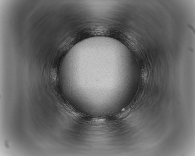 X0000097890665200803281247