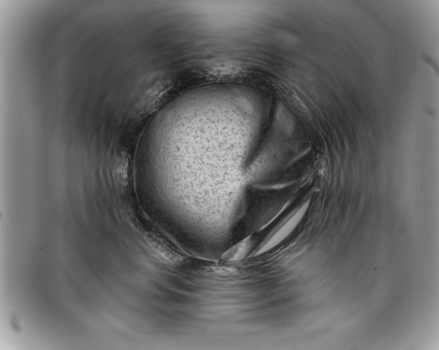 X0000097890668200803281247