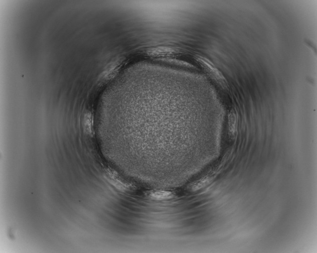 X0000097890669200803281247