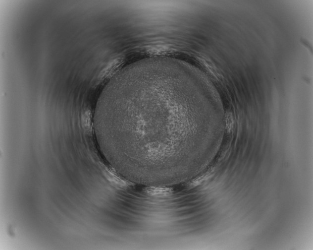 X0000097890670200803281247