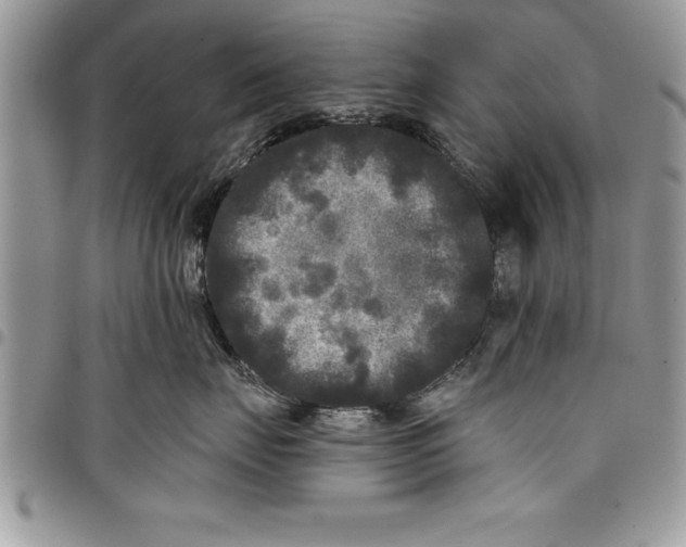 X0000097890671200803281247