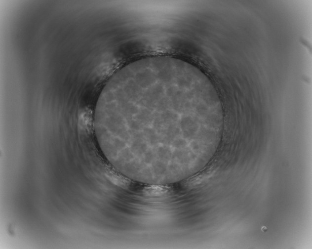 X0000097890672200803281247