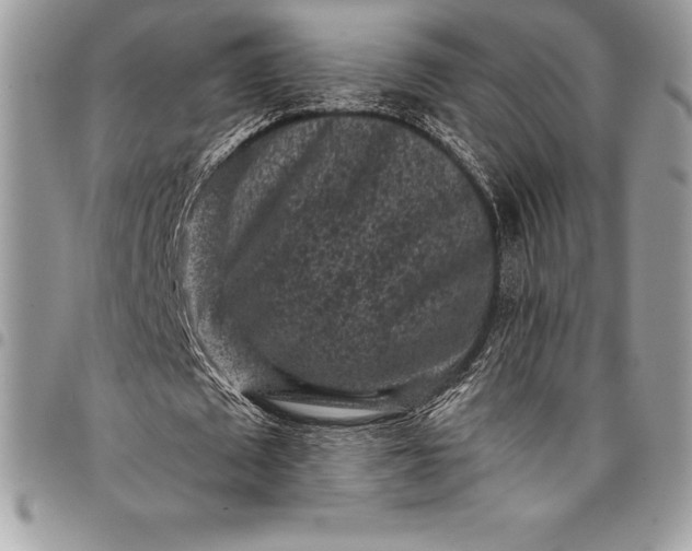 X0000097890673200803281246