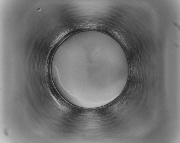 X0000097890674200803281246