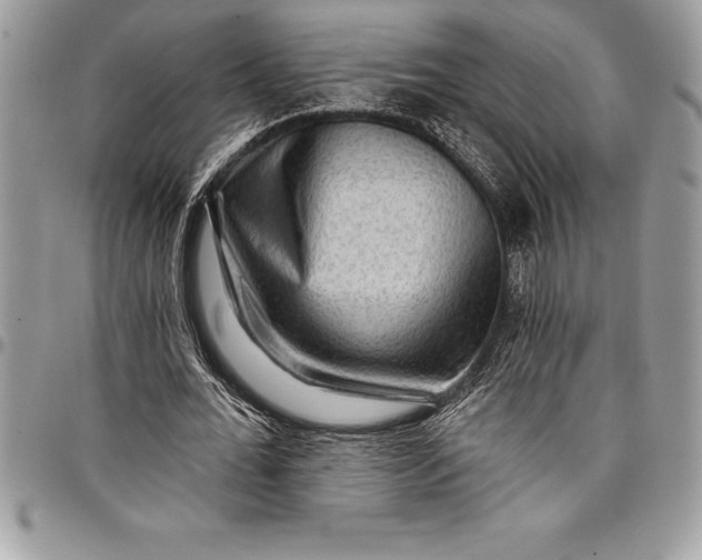 X0000097890676200803281246