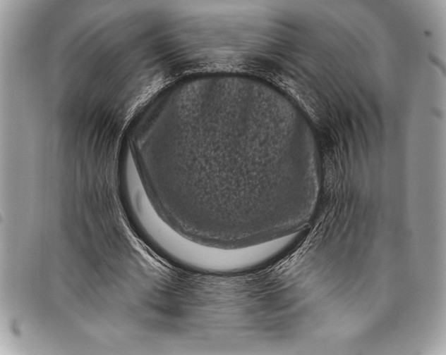 X0000097890677200803281246