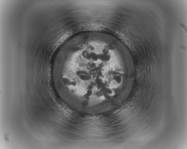 X0000097890679200803281246