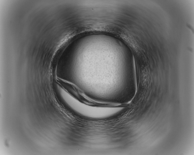 X0000097890680200803281246