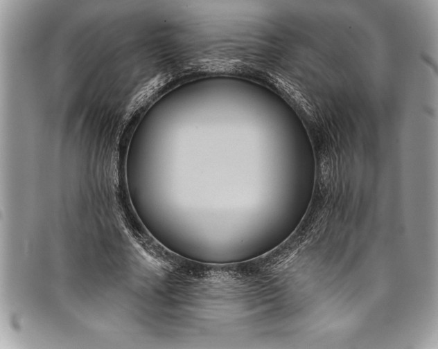 X0000097890682200803281246