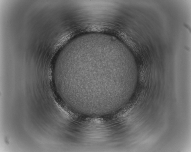 X0000097890683200803281246