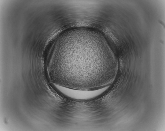 X0000097890684200803281246