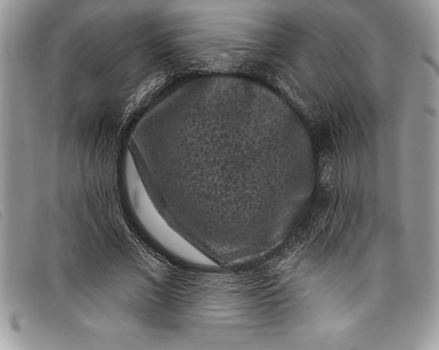 X0000097890685200803281246