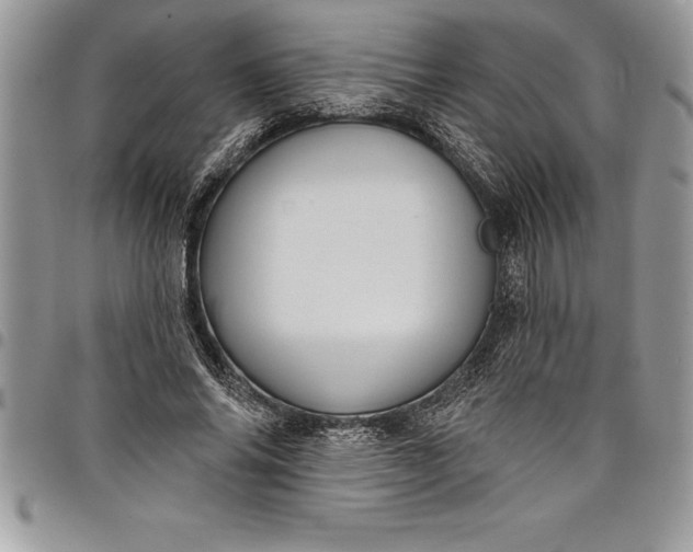 X0000097890686200803281246