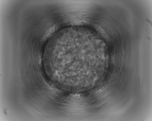 X0000097890687200803281246