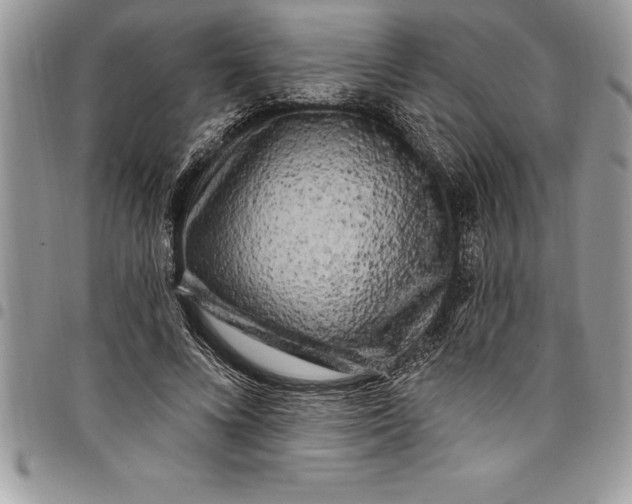 X0000097890688200803281246