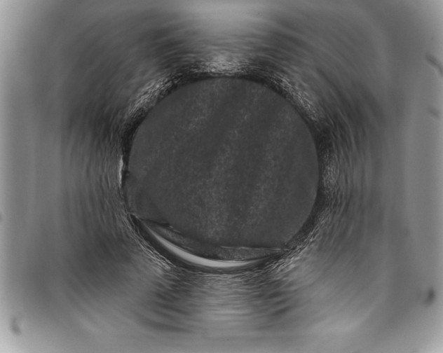 X0000097890689200803281246