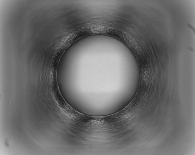 X0000097890690200803281246