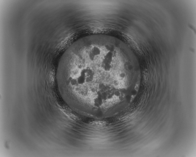 X0000097890691200803281246