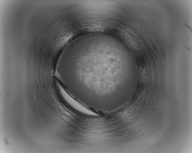 X0000097890692200803281246