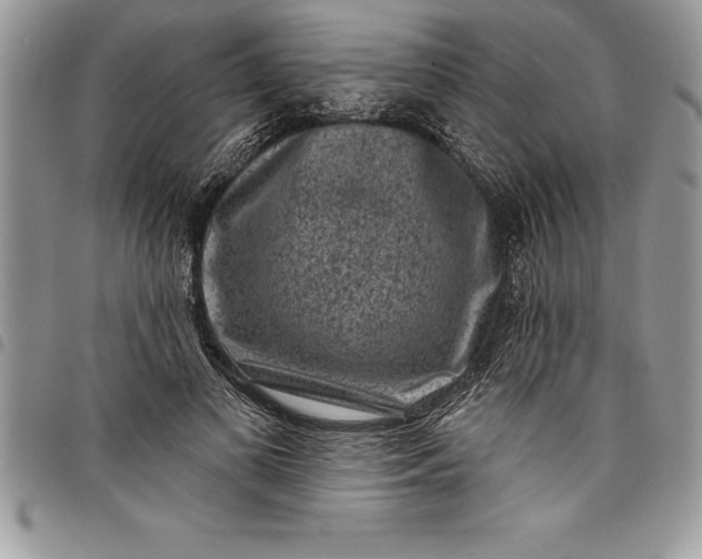 X0000097890693200803281246