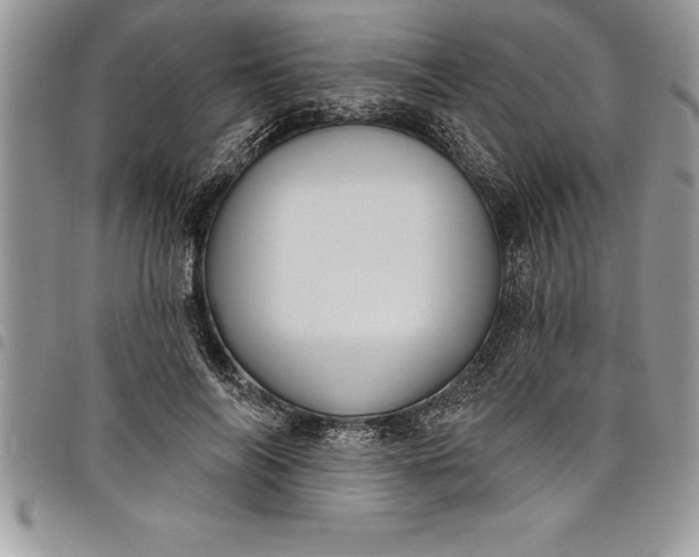 X0000097890694200803281246