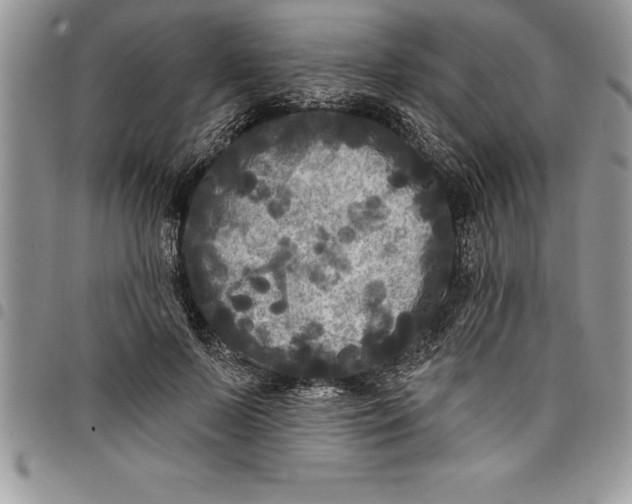 X0000097890695200803281246