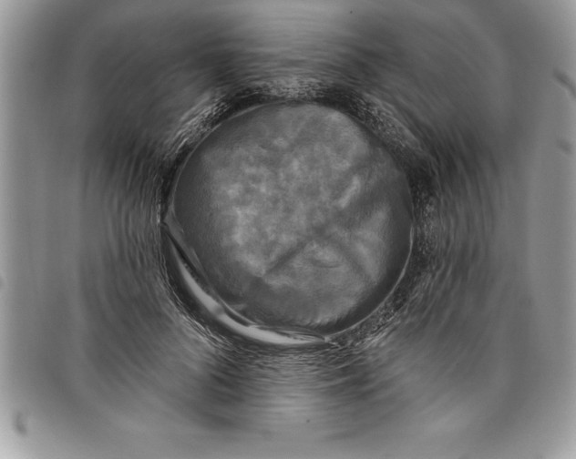 X0000097890696200803281246