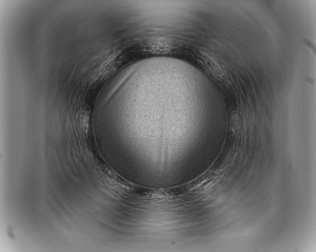 X0000097890697200803281246