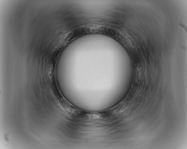 X0000097890698200803281246