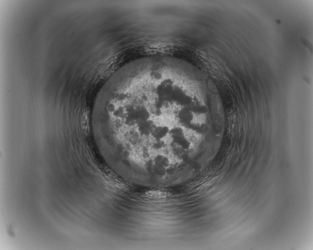 X0000097890699200803281246