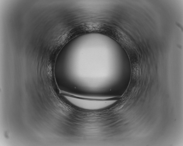 X0000097890700200803281246