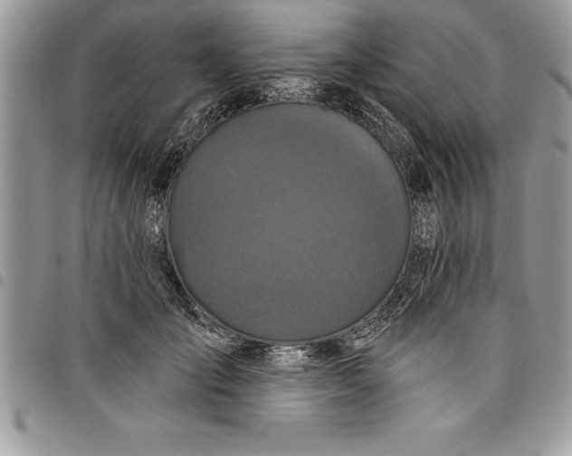 X0000097890701200803281246