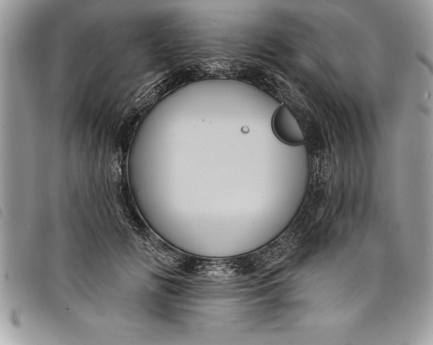 X0000097890702200803281246