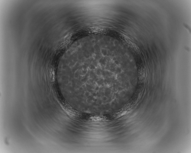 X0000097890703200803281246