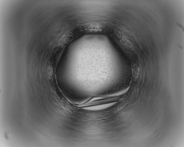 X0000097890704200803281246