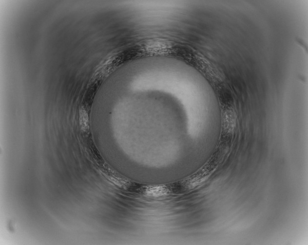 X0000097890705200803281246